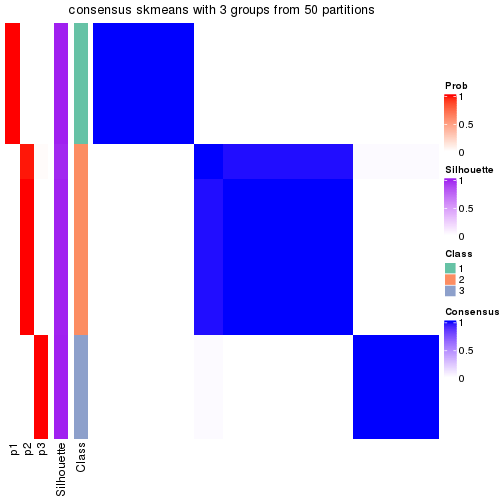 plot of chunk tab-node-0113-consensus-heatmap-2