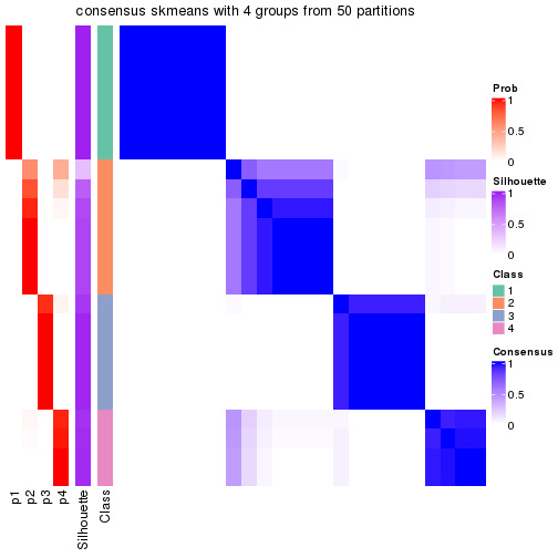 plot of chunk tab-node-0113-consensus-heatmap-3