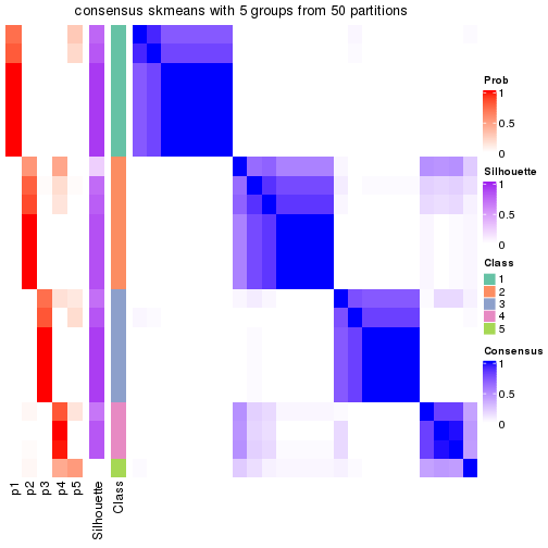 plot of chunk tab-node-0113-consensus-heatmap-4