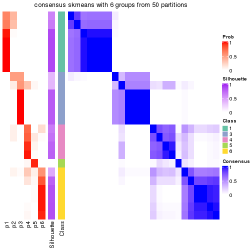 plot of chunk tab-node-0113-consensus-heatmap-5