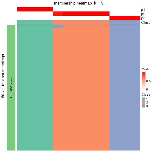 plot of chunk tab-node-0113-membership-heatmap-2