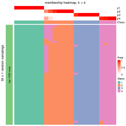 plot of chunk tab-node-0113-membership-heatmap-3