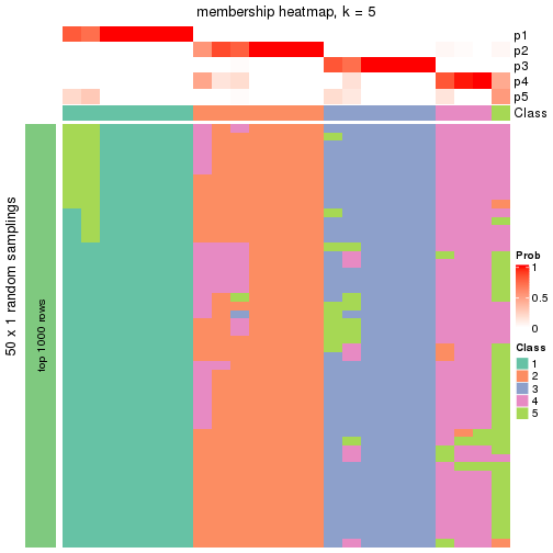 plot of chunk tab-node-0113-membership-heatmap-4