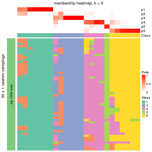 plot of chunk tab-node-0113-membership-heatmap-5