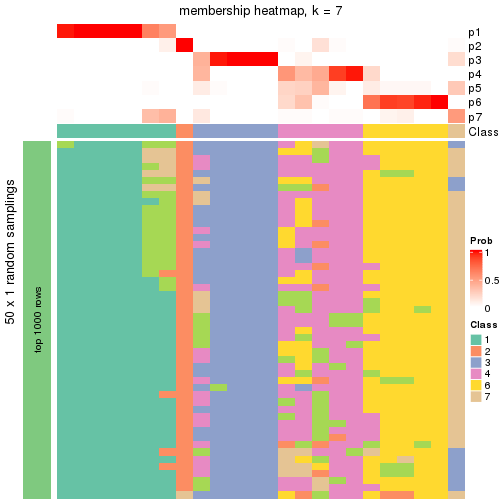 plot of chunk tab-node-0113-membership-heatmap-6