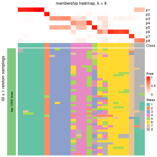 plot of chunk tab-node-0113-membership-heatmap-7