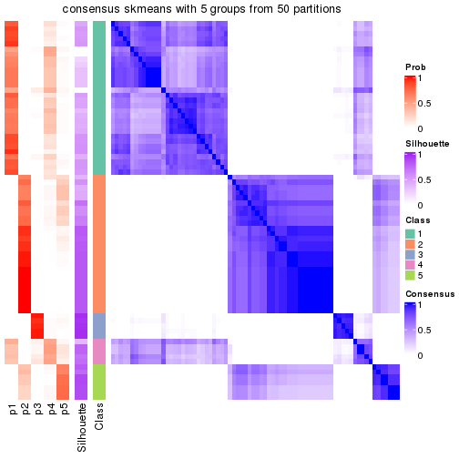 plot of chunk tab-node-012-consensus-heatmap-4