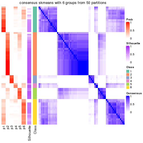 plot of chunk tab-node-012-consensus-heatmap-5