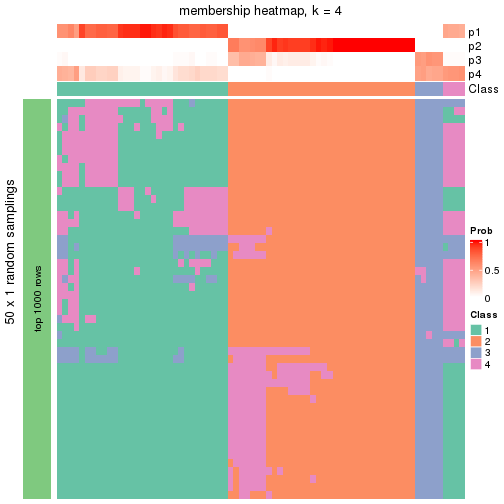 plot of chunk tab-node-012-membership-heatmap-3