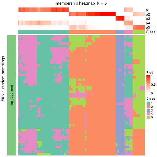 plot of chunk tab-node-012-membership-heatmap-4