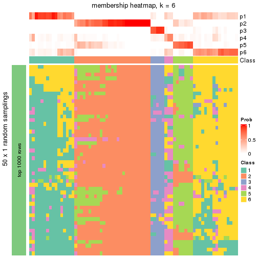 plot of chunk tab-node-012-membership-heatmap-5