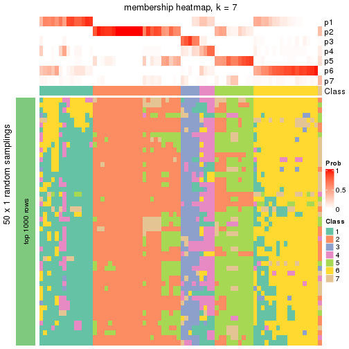 plot of chunk tab-node-012-membership-heatmap-6