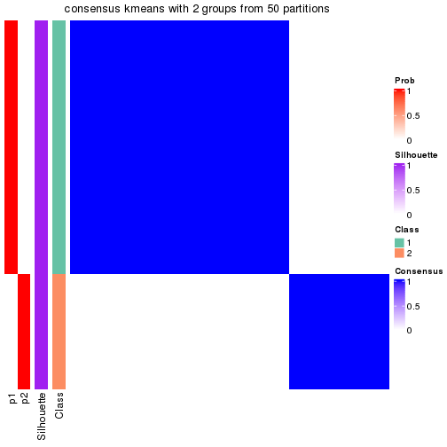 plot of chunk tab-node-0121-consensus-heatmap-1