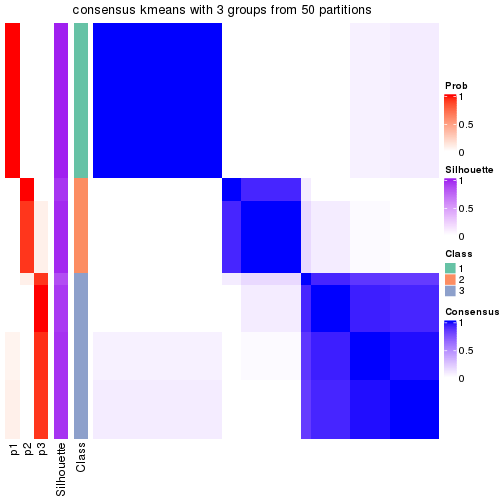 plot of chunk tab-node-0121-consensus-heatmap-2