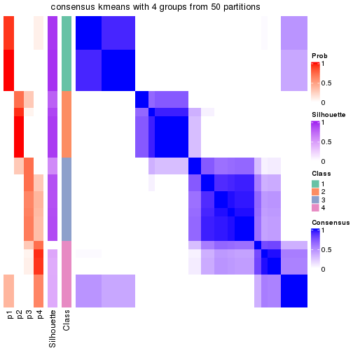 plot of chunk tab-node-0121-consensus-heatmap-3