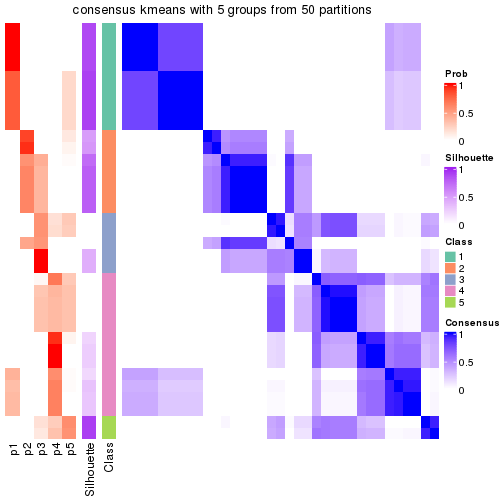 plot of chunk tab-node-0121-consensus-heatmap-4