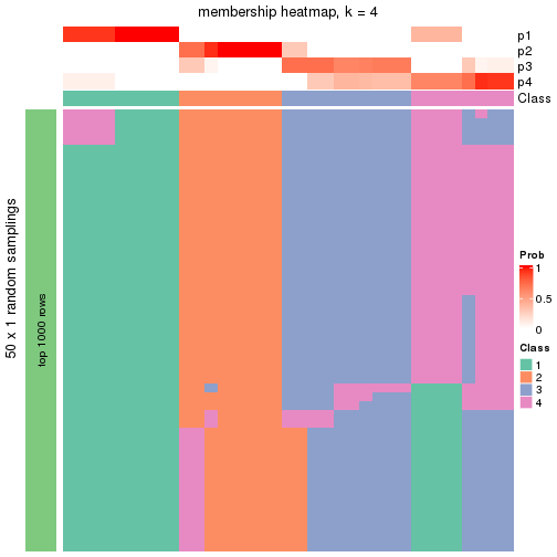 plot of chunk tab-node-0121-membership-heatmap-3