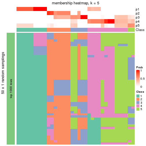 plot of chunk tab-node-0121-membership-heatmap-4