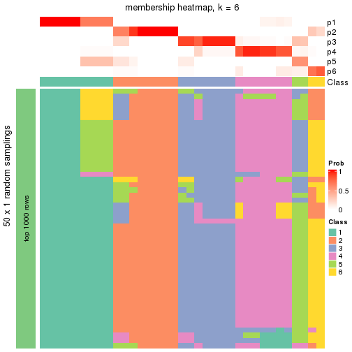 plot of chunk tab-node-0121-membership-heatmap-5