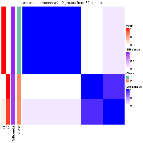 plot of chunk tab-node-01213-consensus-heatmap-1