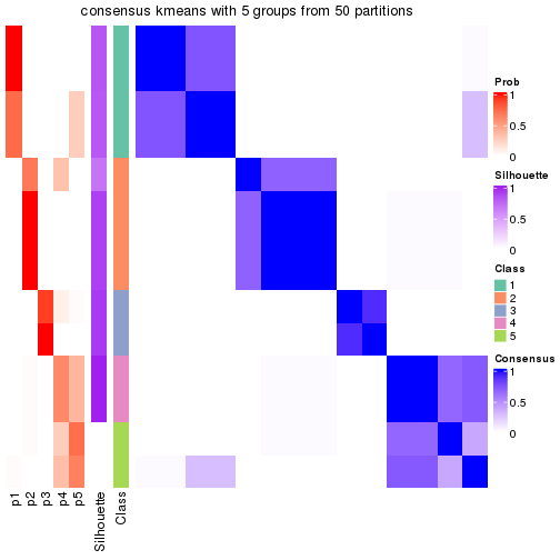 plot of chunk tab-node-01213-consensus-heatmap-4