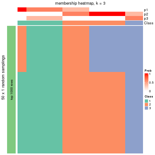 plot of chunk tab-node-01213-membership-heatmap-2