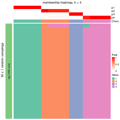 plot of chunk tab-node-01213-membership-heatmap-3