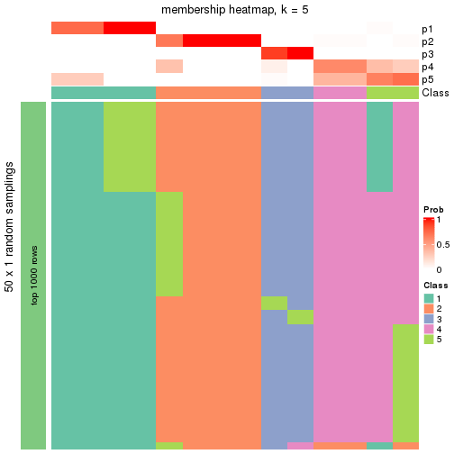 plot of chunk tab-node-01213-membership-heatmap-4