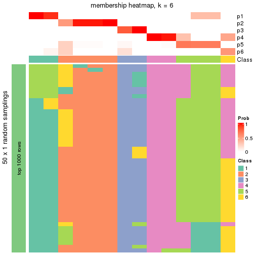 plot of chunk tab-node-01213-membership-heatmap-5