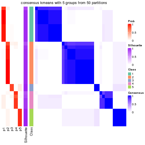 plot of chunk tab-node-0122-consensus-heatmap-4