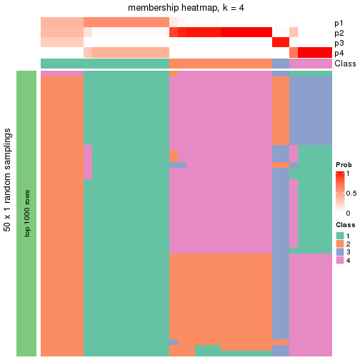 plot of chunk tab-node-0122-membership-heatmap-3