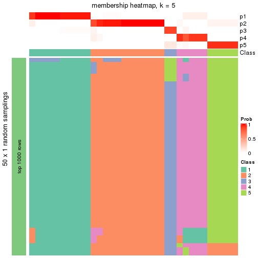 plot of chunk tab-node-0122-membership-heatmap-4