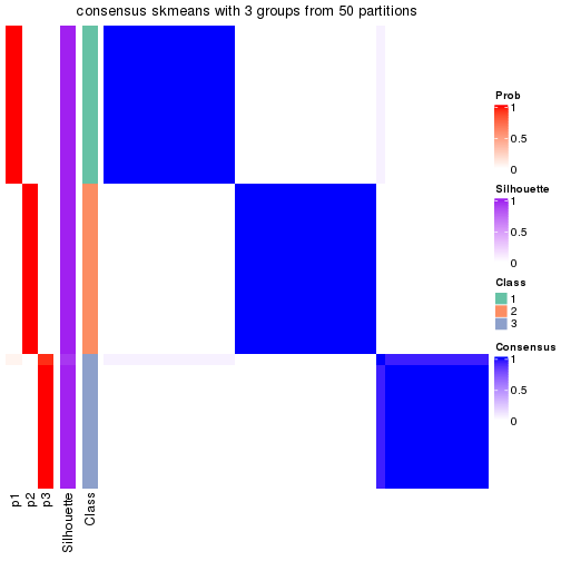 plot of chunk tab-node-013-consensus-heatmap-2