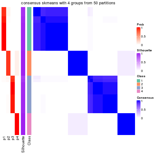 plot of chunk tab-node-013-consensus-heatmap-3