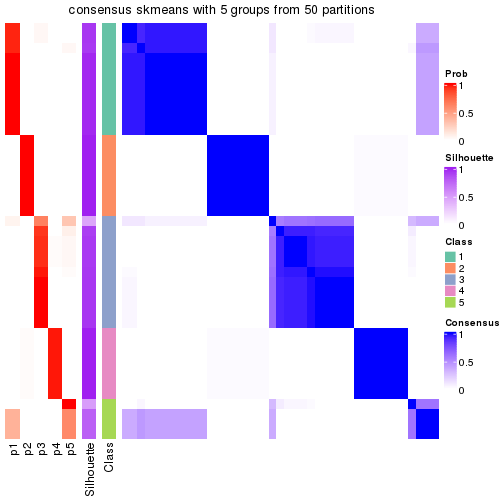 plot of chunk tab-node-013-consensus-heatmap-4