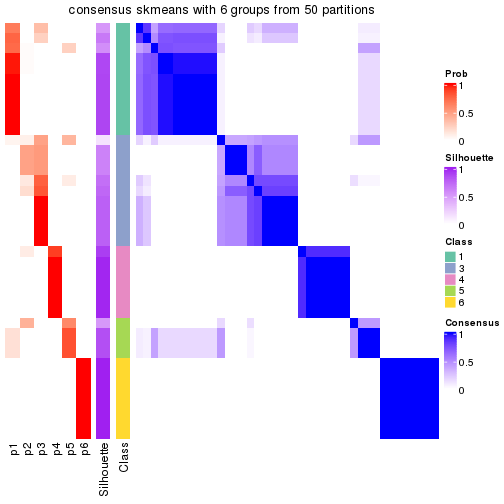 plot of chunk tab-node-013-consensus-heatmap-5