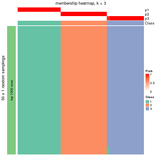 plot of chunk tab-node-013-membership-heatmap-2