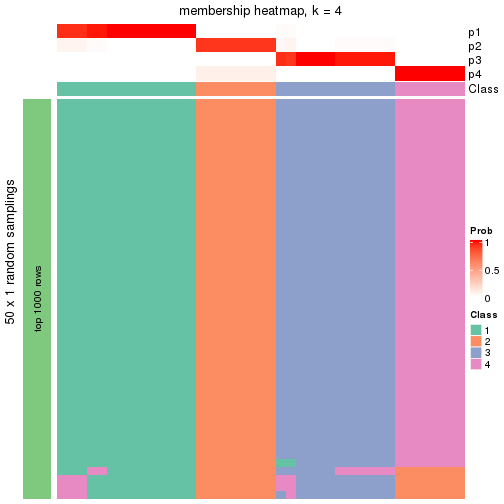 plot of chunk tab-node-013-membership-heatmap-3