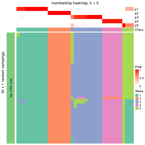 plot of chunk tab-node-013-membership-heatmap-4