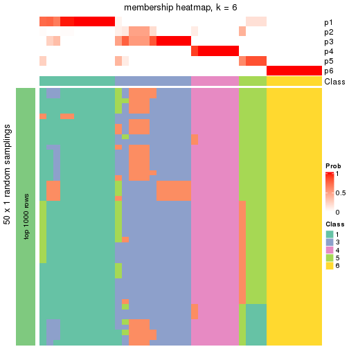 plot of chunk tab-node-013-membership-heatmap-5