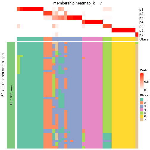 plot of chunk tab-node-013-membership-heatmap-6