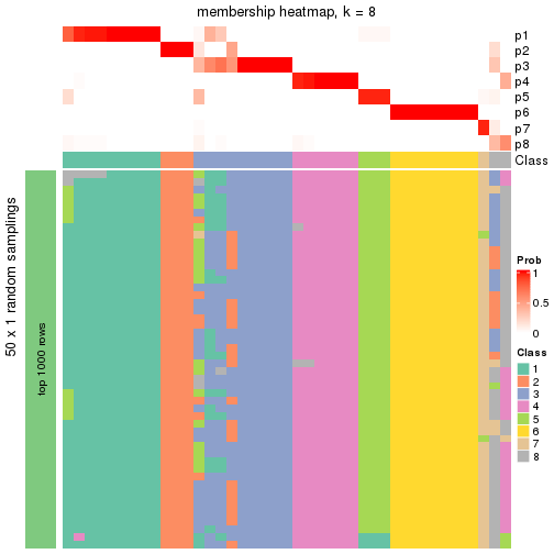 plot of chunk tab-node-013-membership-heatmap-7