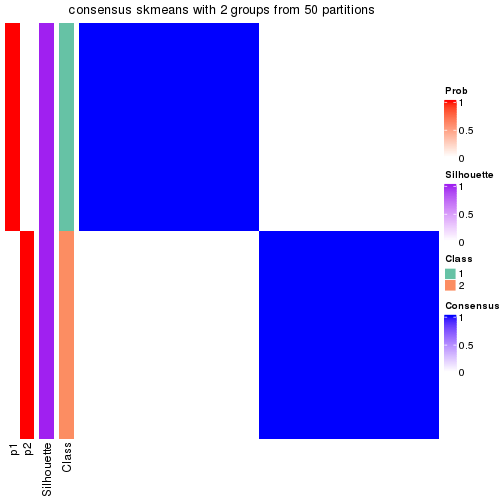 plot of chunk tab-node-0131-consensus-heatmap-1