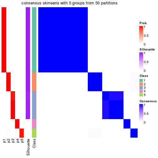 plot of chunk tab-node-0131-consensus-heatmap-4