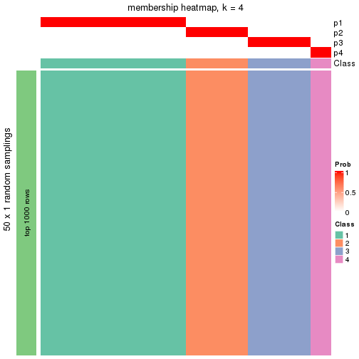 plot of chunk tab-node-0131-membership-heatmap-3