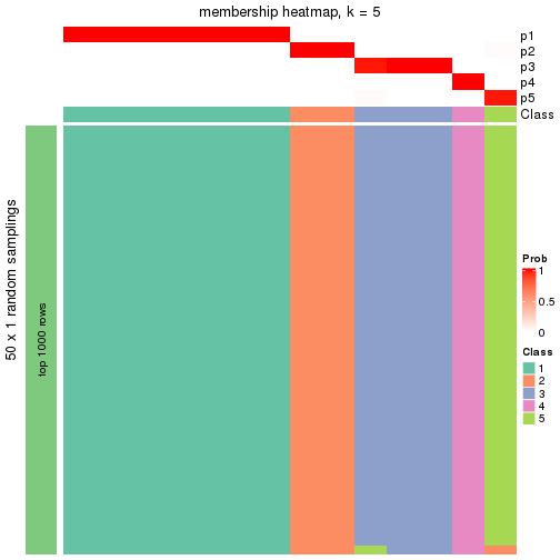 plot of chunk tab-node-0131-membership-heatmap-4