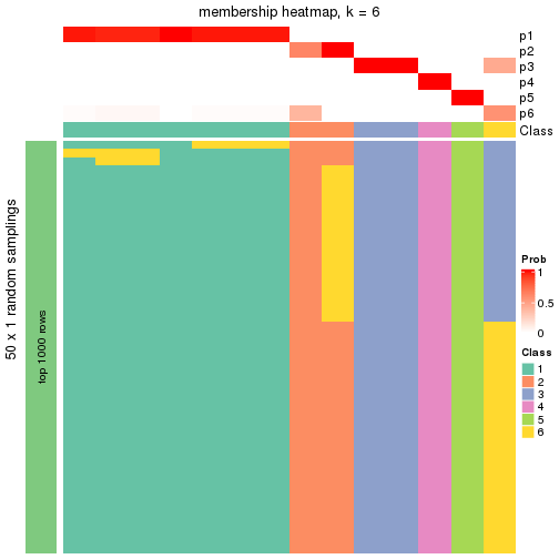 plot of chunk tab-node-0131-membership-heatmap-5