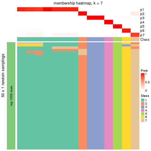 plot of chunk tab-node-0131-membership-heatmap-6