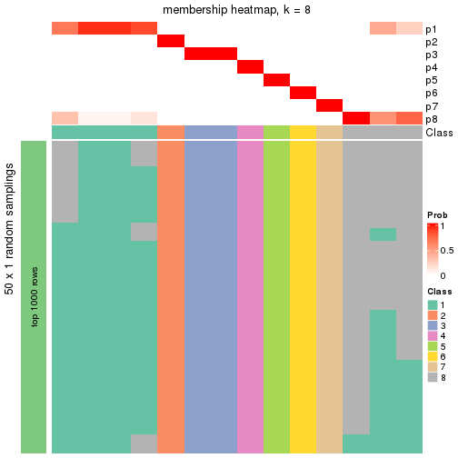 plot of chunk tab-node-0131-membership-heatmap-7