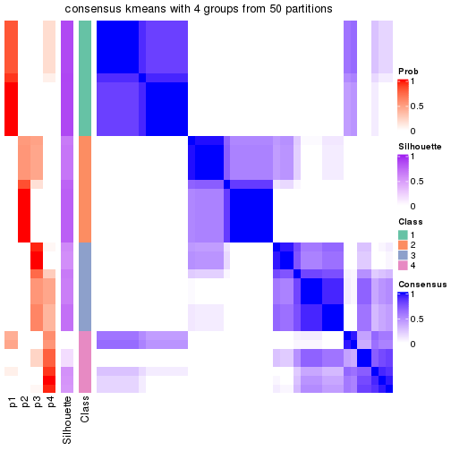 plot of chunk tab-node-014-consensus-heatmap-3